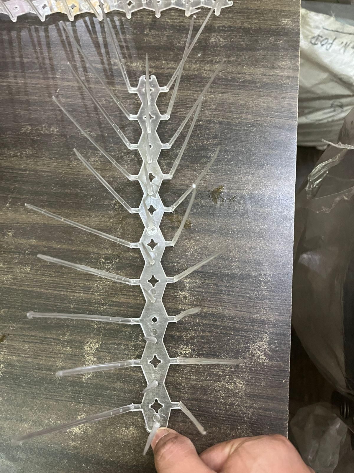 Bird Spikes Pack of 10