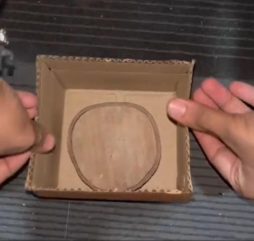 Jamun Wood Pack of 1