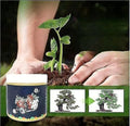 Special Bone Meal Organic Fertilizer, Promote The Growth Of Flowers And Fruits  Pack of 2