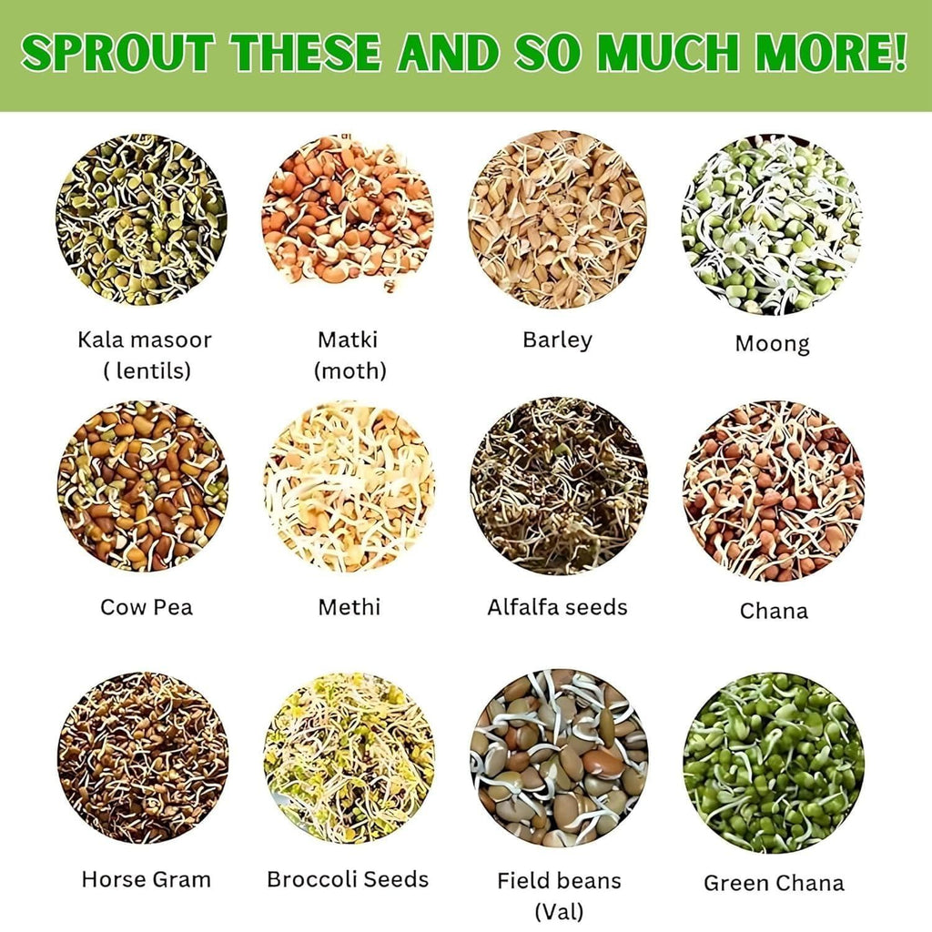 Sprouting All Seeds & Beans Airflow Mesh Lid, Easy Drainage Odor Resistant & Durable Green