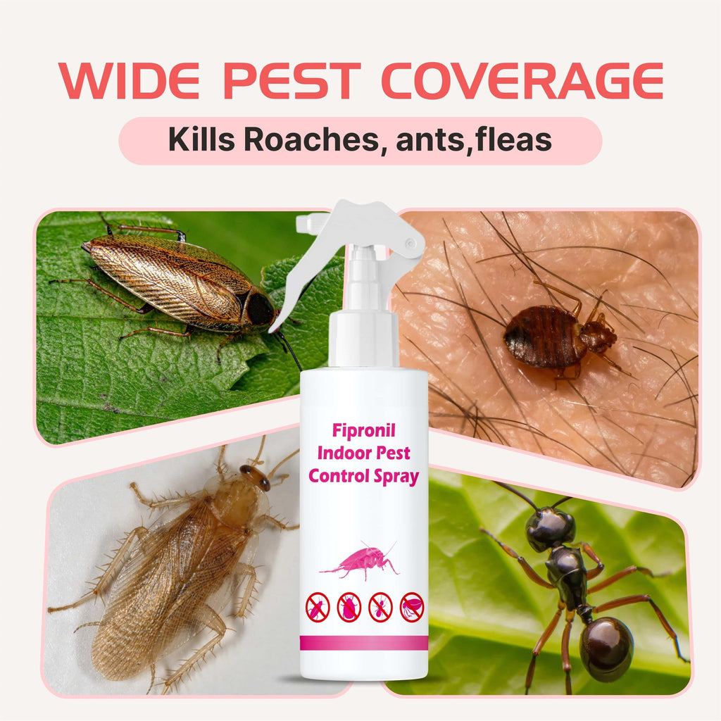 Fipronil Indoor Pest Control Spray 100 ml Pack of 1
