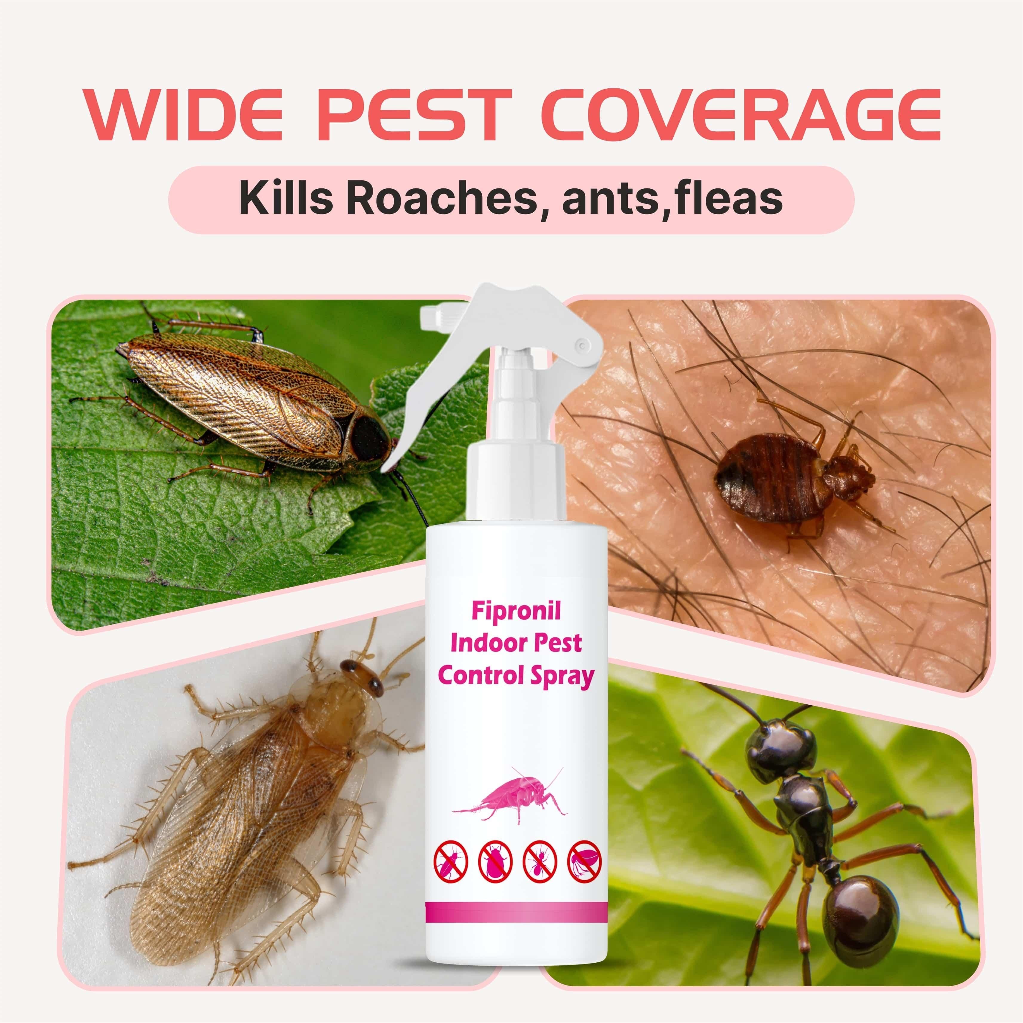 Fipronil Indoor Pest Control Spray 100 ml Pack of 1