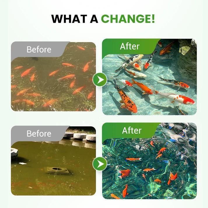 Water Conditioning Powder for Ponds 200 gm