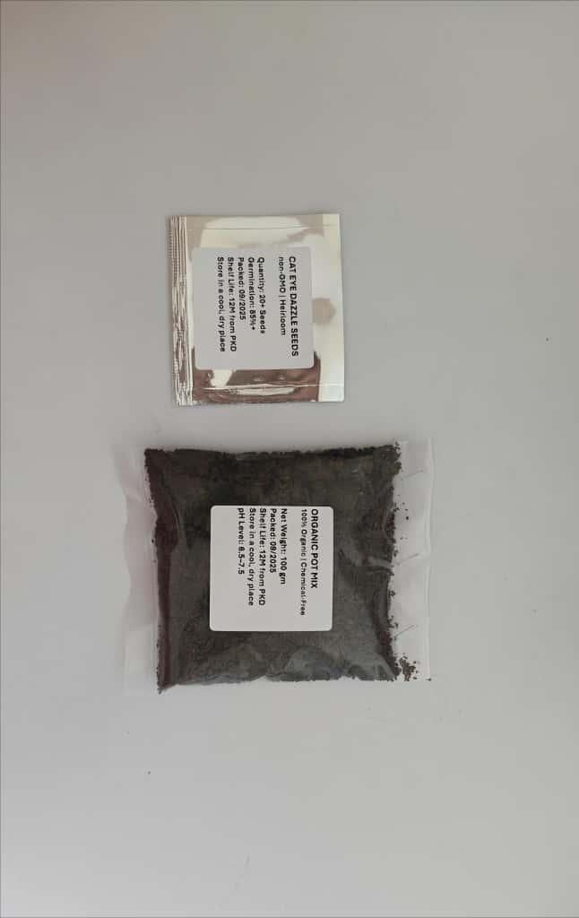 Cat Eye Dazzle Seeds + Plant Growth Serum Free