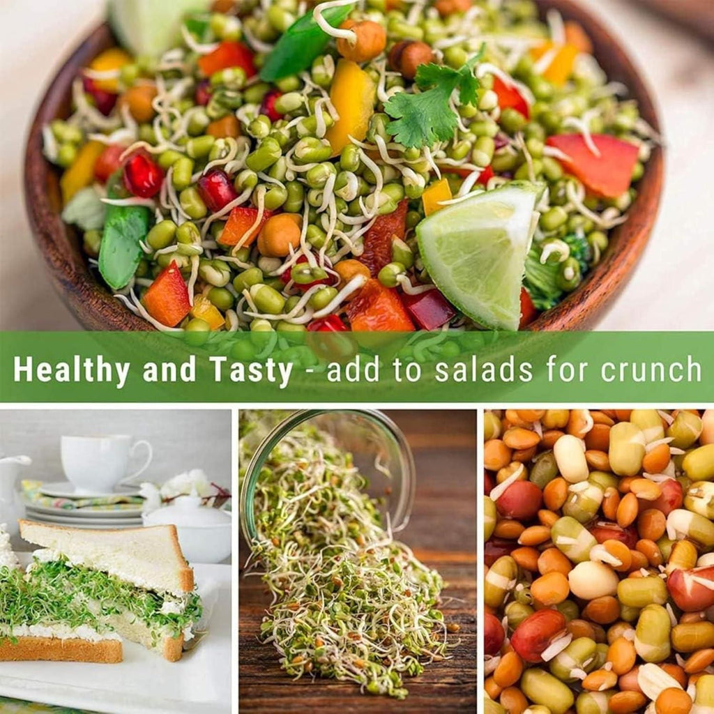 Sprouting All Seeds & Beans Airflow Mesh Lid, Easy Drainage Odor Resistant & Durable Green