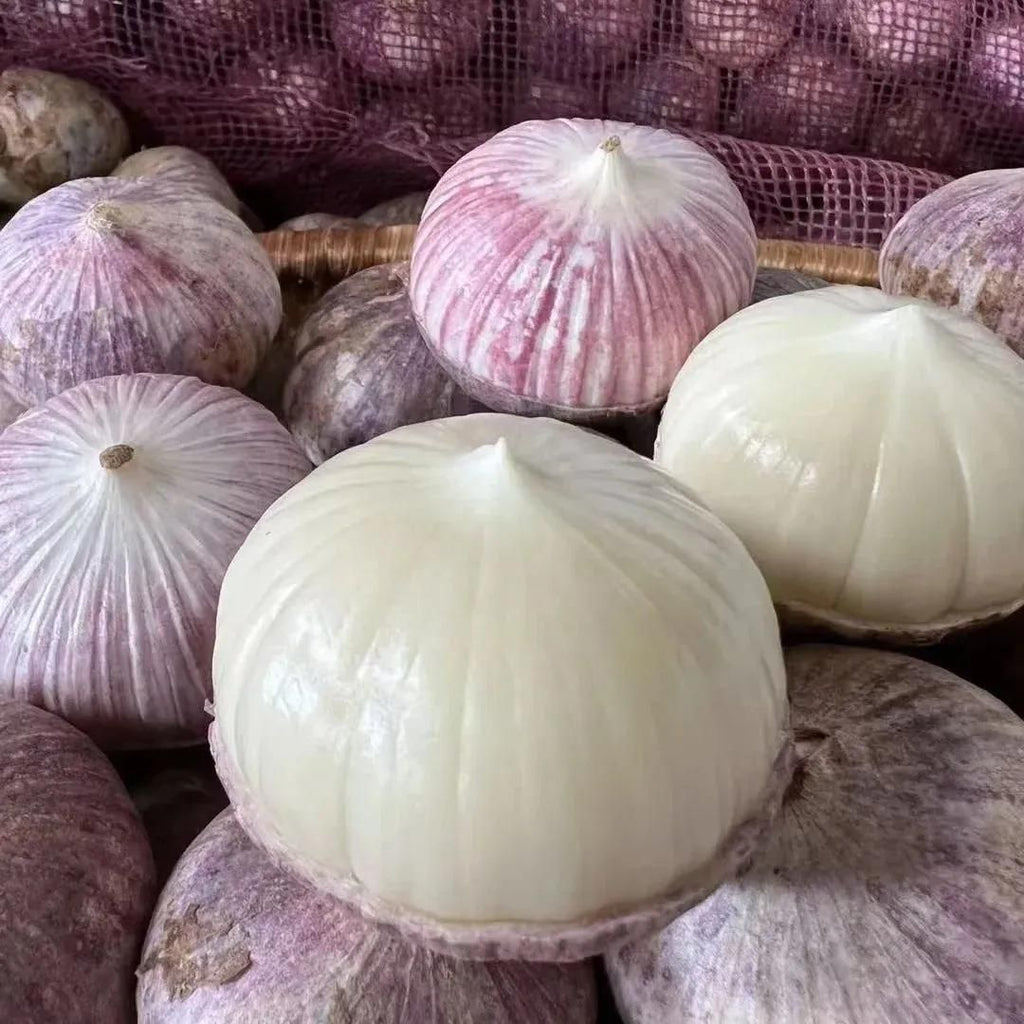 Garlic seeds ( Pack of 20) + Free Plant Growth Serum