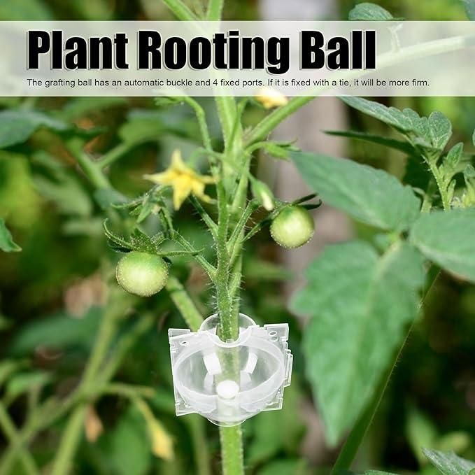 Reusable Plant Root Growth Balls with Locks (Pack of 5)