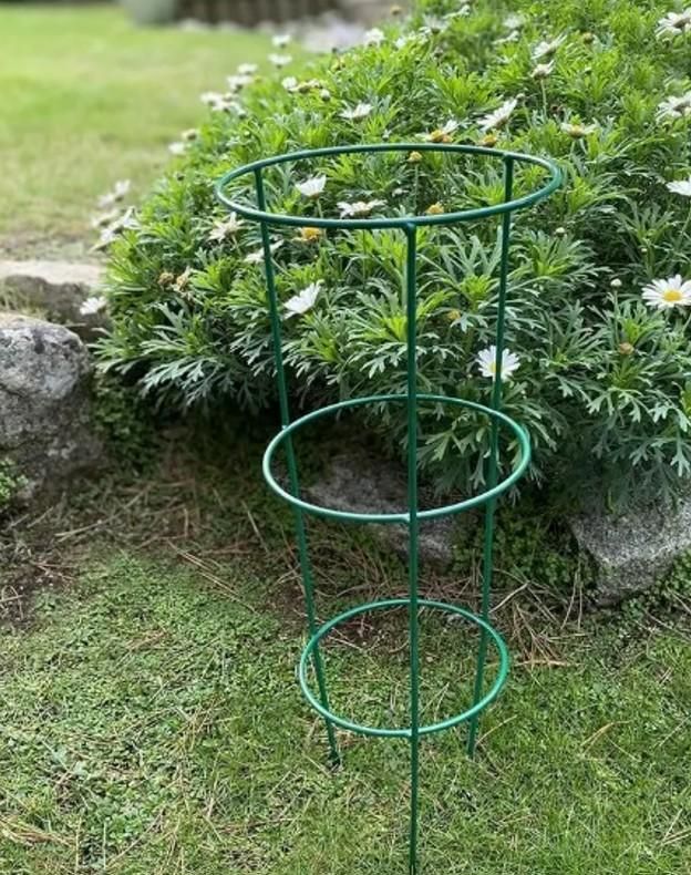 3 Layer Plant Support Cage