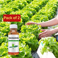 Powerful & Long-Lasting Crop Insecticide (Pack of 2)
