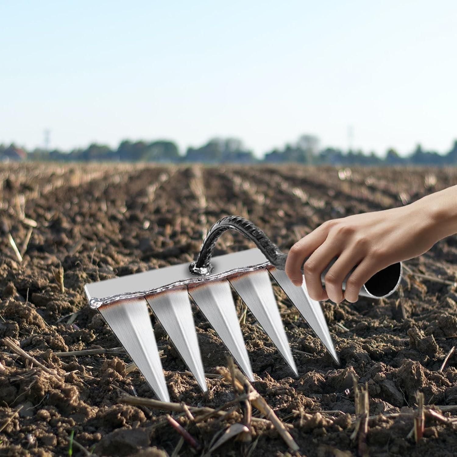 5 Teeth Carbon Steel Garden Weeding