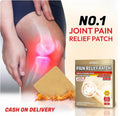 Pain Relief Patch (Pack of 10 Patches)