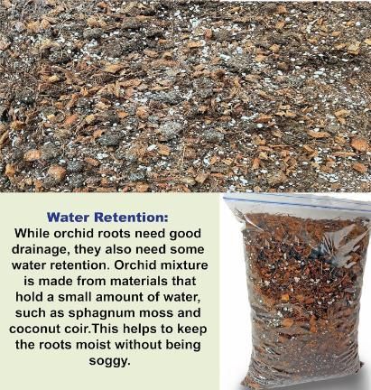 Orchid Potting Mixture - Orchid Plants Ready to Use 350gm