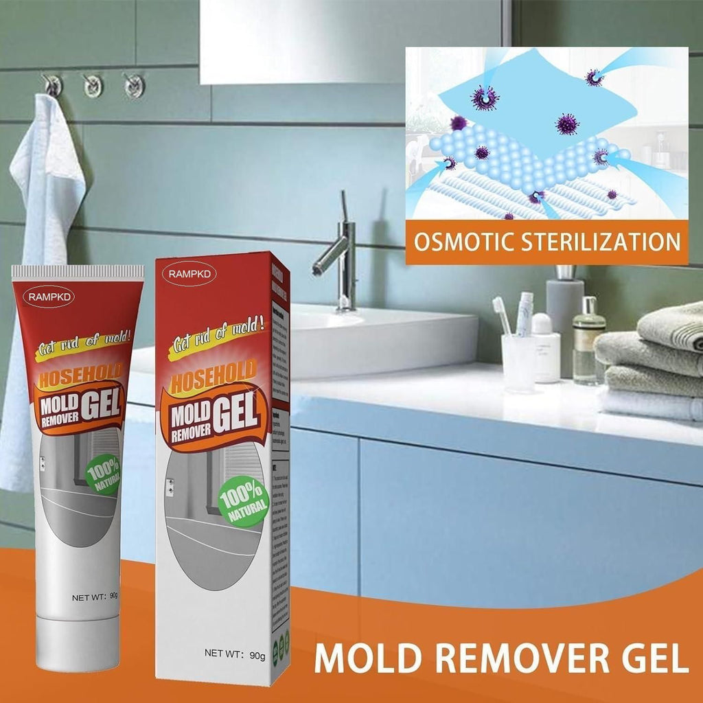 Mold Remover Gel 90 gm