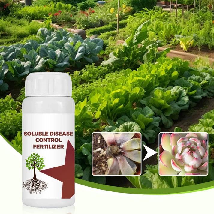 Soluble Disease Control Fertilizer 100 ml Pack of 1