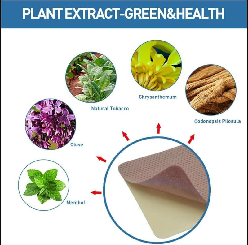 10 Pcs Anti-Smoking Patches