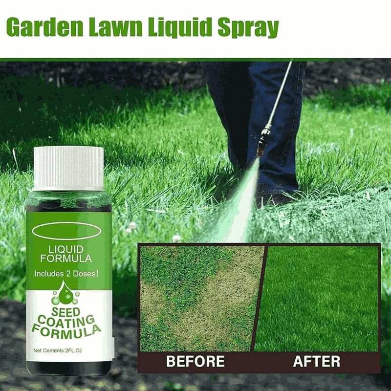 Seed Coating Formula, 60ml Green Grass Lawn Spray Pack of 2 (60ml)