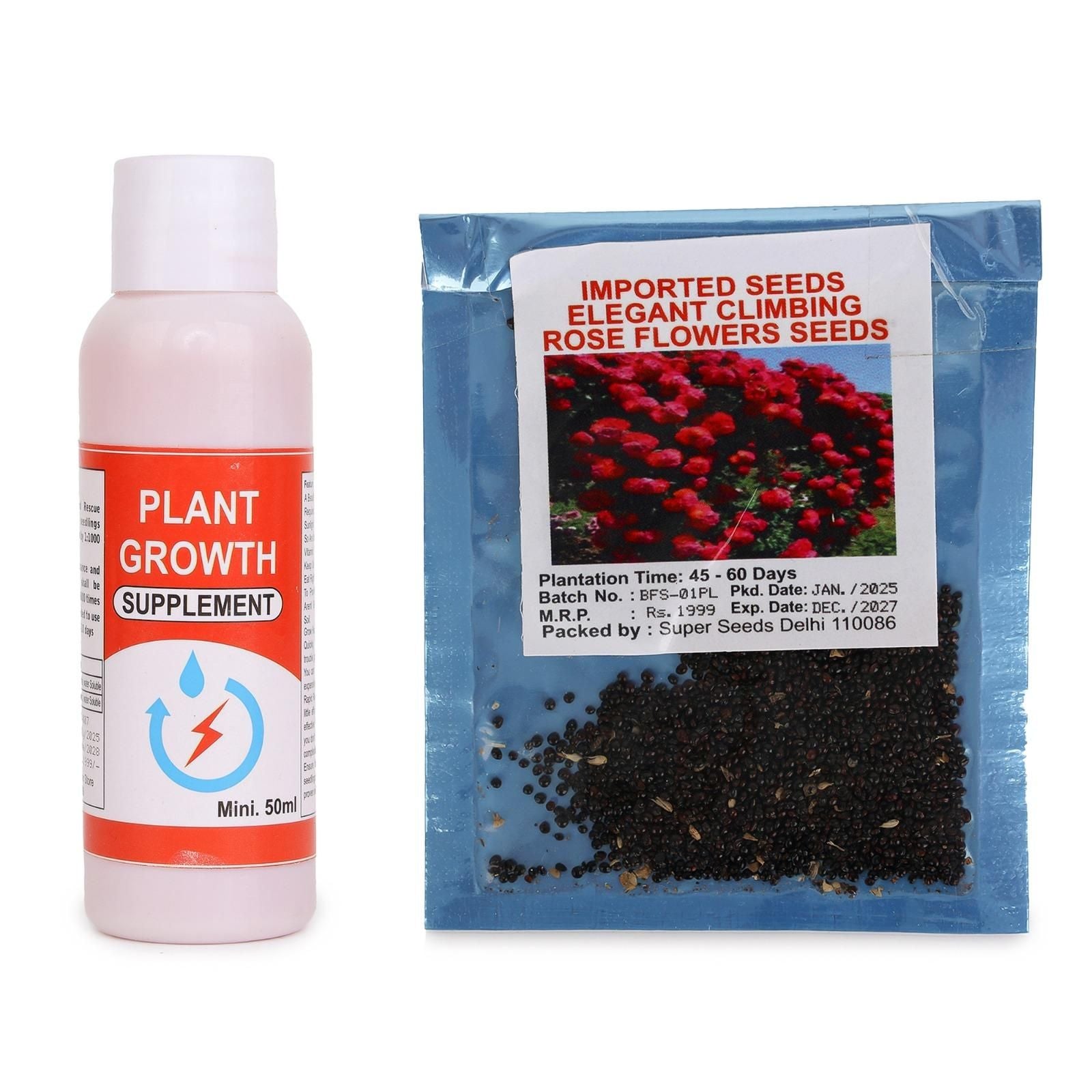 Elegant Climbing Rose Flower Seeds