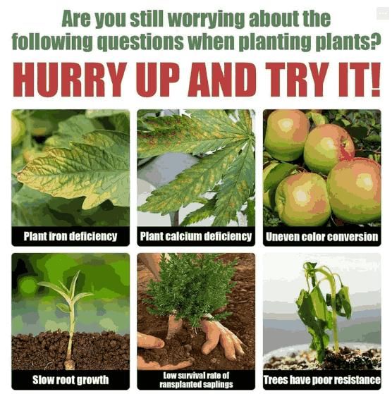 Resurrection Liquid for Plants,Flower 50ML (Pack of 3)