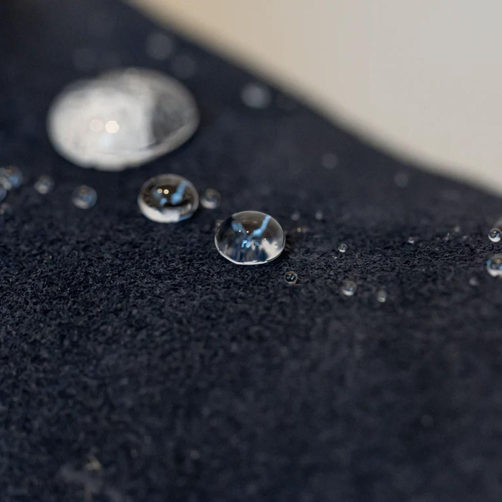 Prosheld Guardian Spray 100ML (Pack of 2)